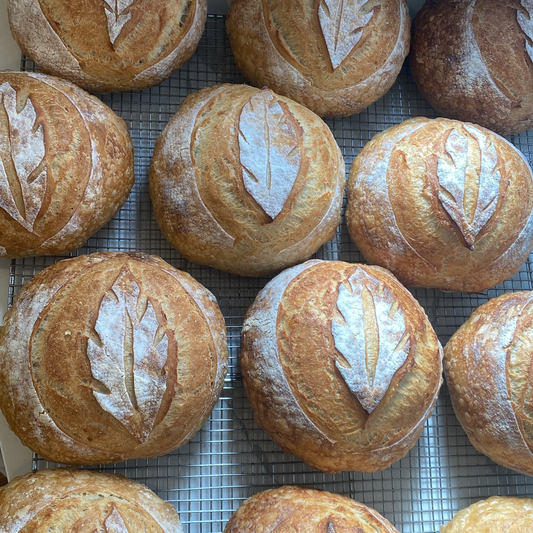 Sourdough by Challah House
